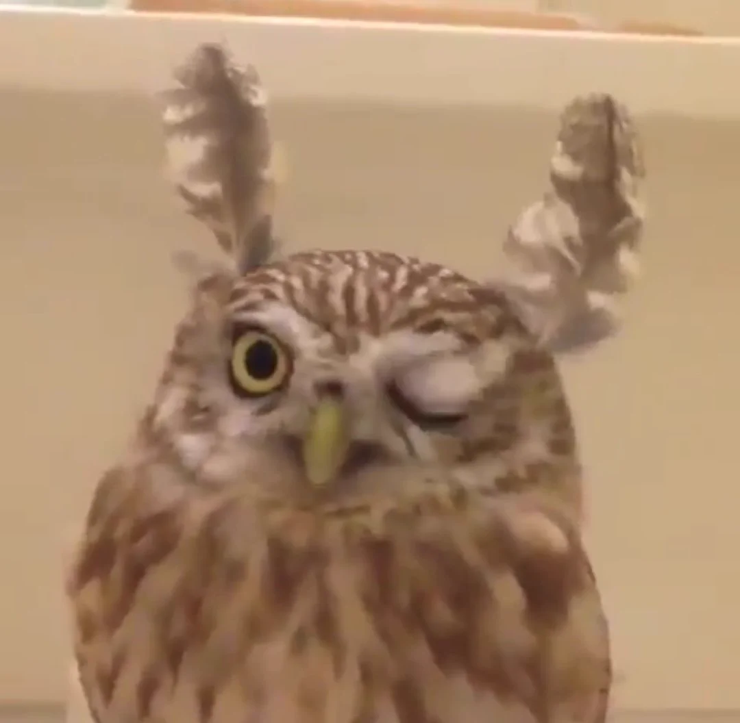 @minnano_iyashi ウインクしてるぅぅぅぅぅぅ(´♡ω♡｀) 