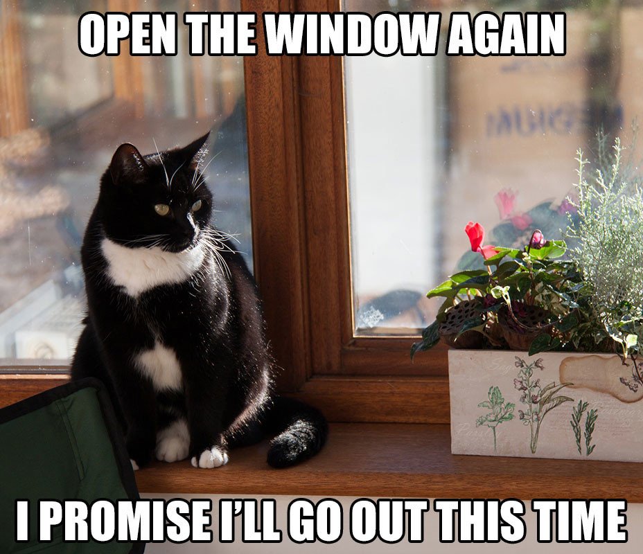 Gary Outrageous (@gary_outrageous) on Twitter photo 