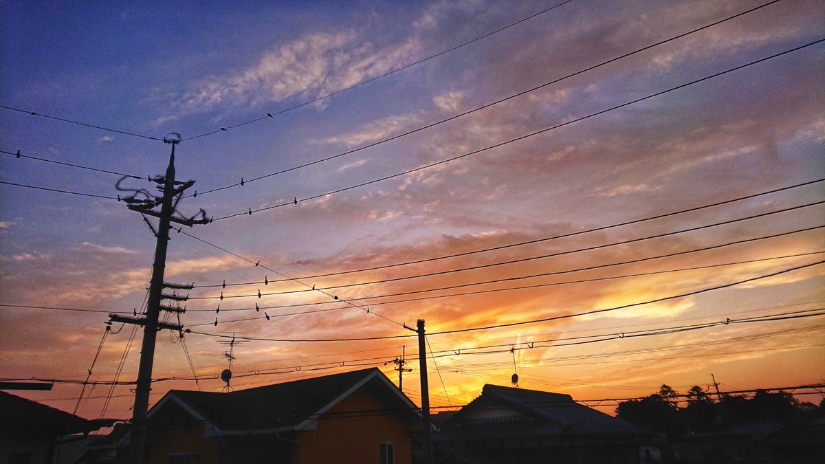 世界でいちばん頑張ってる君に