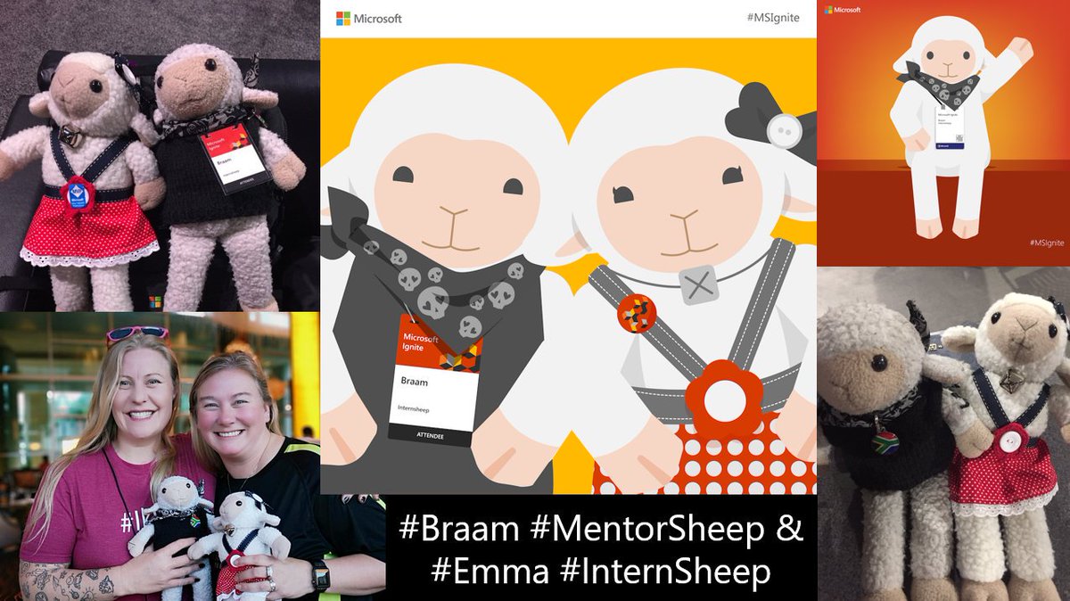 tracyvds's tweet photo. Dear @MSIgnite #MSIgnite. The love lambs will be joining us again. #Braam #MentorSheep (promoted) &amp; #Emma #InternSheep. A special request please, could @percusn &amp; I get badges for the couple, pretty please? After all, they are #Microsoft 's biggest fans and 'ewe' know it! 😀 https://t.co/07l2oHgS1O