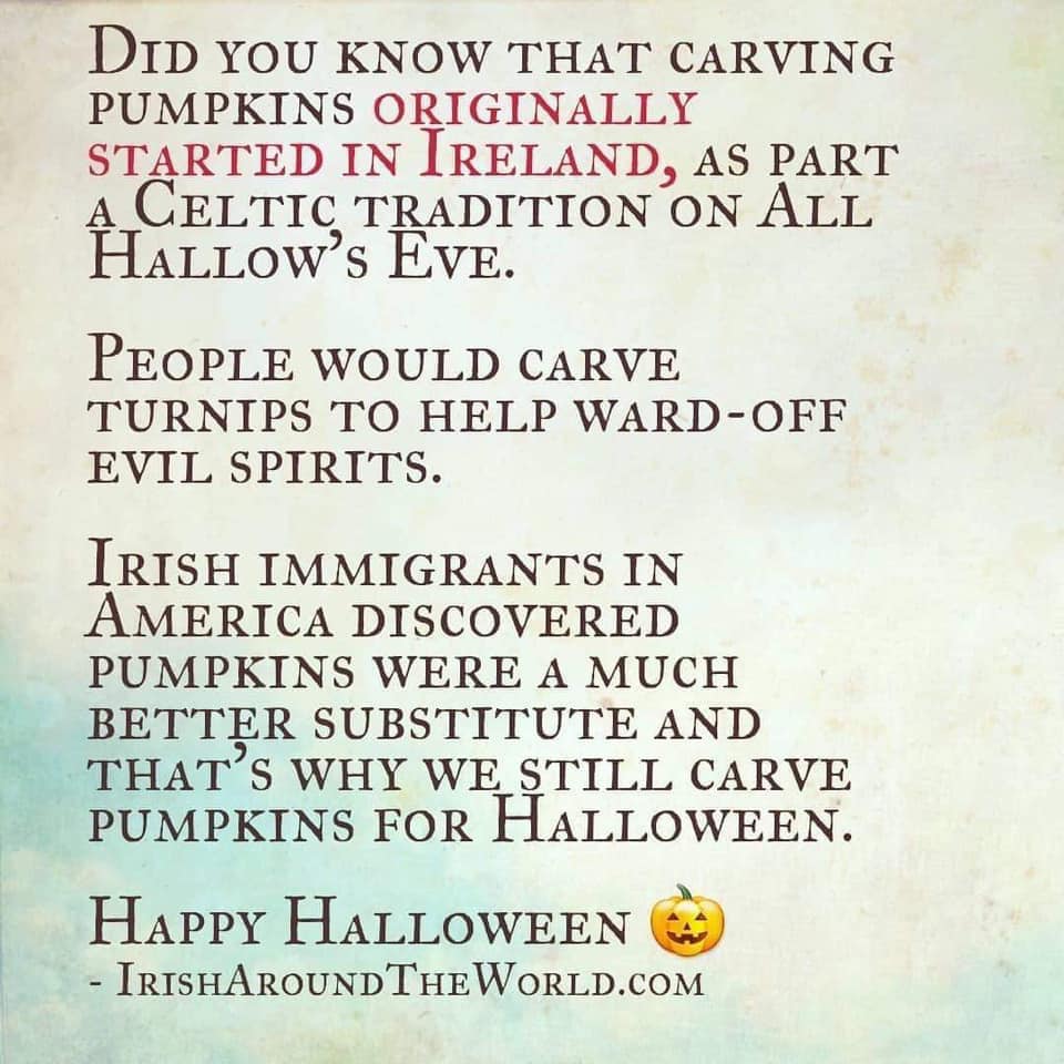 maria quail (@quail_maria) on Twitter photo 