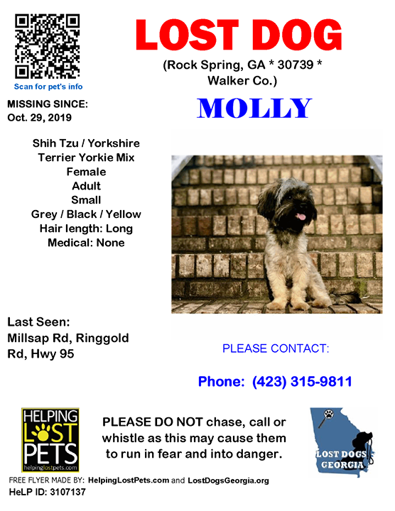 LostDogsGeorgia's tweet photo. **FACEBOOK LINK: https://t.co/gjLCY553ok ** #LOSTDOG #Molly #RockSpring (Millsap Rd, Ringgold Rd, Hwy 95)  #GA 30739 #Walker Co. , #Lost #Dog 10-29-2019!, Female #Shih Tzu / Yorkshire Terrier Yorkie Mix Grey / Black / Yellow/

CONTACT Phone: (423) 315-9811

More Info, Photos an… https://t.co/gEdADl7Zf3