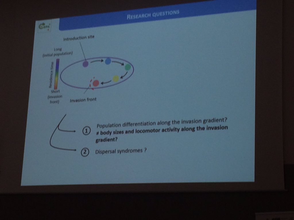 Nice talk of David Renault from #ecobio_lab on spatial sorting in an invasive beetle #cepa4 #cnrs