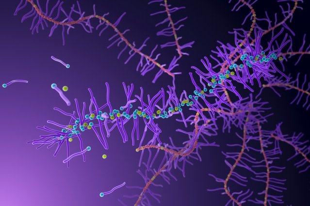 2020Polymer tweet picture