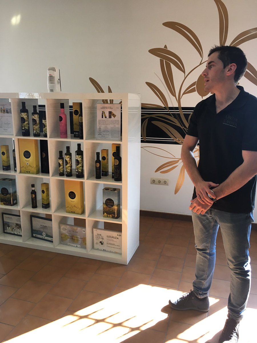 Carminaenlacoci's tweet photo. Venir a @orodecanava es siempre un placer. Y este año, es doble, porque la cosecha temprana que han obtenido es ¡IMPRESIONANTE!

#primerAOVE
#sierramagina
#gastroexperiencia
#primeracosecha
#aovetrip https://t.co/slvfPgNDgW