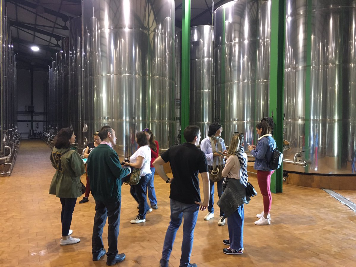 Carminaenlacoci's tweet photo. Venir a @orodecanava es siempre un placer. Y este año, es doble, porque la cosecha temprana que han obtenido es ¡IMPRESIONANTE!

#primerAOVE
#sierramagina
#gastroexperiencia
#primeracosecha
#aovetrip https://t.co/slvfPgNDgW