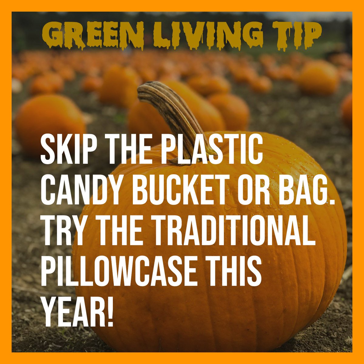 CleanInbetween's tweet image. Here’s a great green living tip for tomorrow!