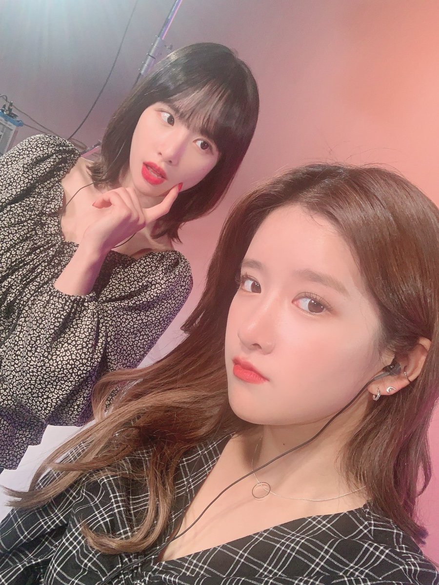 WJSN_Cosmic's tweet photo. [#우주소녀 #엑시]
#M2 #설아 와 엑시의 #팅글인터뷰가 나왔어요! 
지금 바로 보러가기♥😏!! 

https://t.co/15ZbP2lQEa https://t.co/wozvk1w6PR