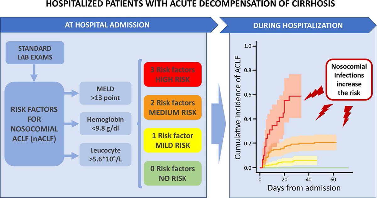 In Press | Prediction of nosocomial ACLF in patients with #cirrhosis admitted to hospital with acute decompensation 

jhep-reports.eu/article/S2589-…
@UniboMagazine
#liverdisease #OpenAccess