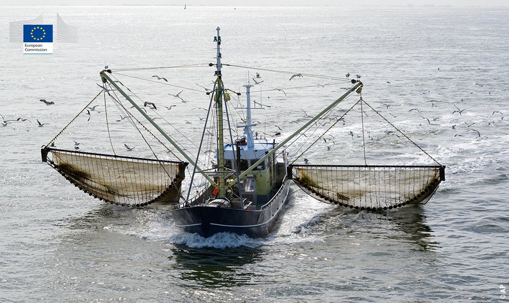 EU_MARE's tweet photo. Fight against #IUU - @EU_Commission issues a yellow card to the Republic of Ecuador 🇪🇨. "We invite the Ecuadorian authorities to step up their efforts and implement the necessary reforms to fight against IUU fishing" said @KarmenuVella 

IP https://t.co/3c5huB7oP9 https://t.co/SFvKju0cVd