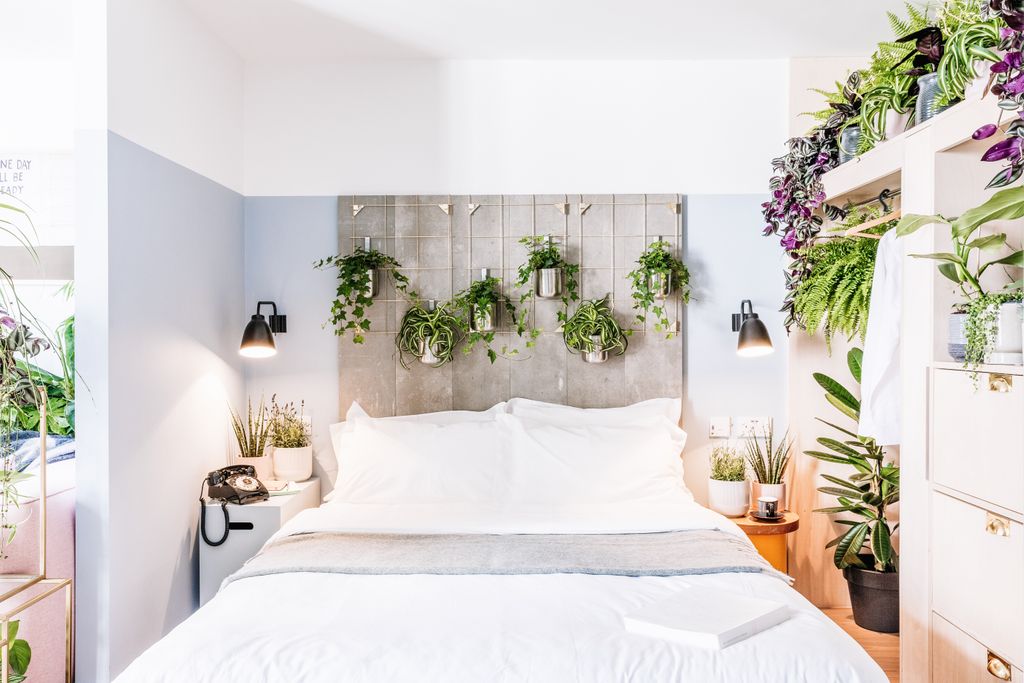 Oliver Heath Design (@oliverheath_ohd) on Twitter photo Poor sleep is associated with lower levels of productivity. We chose the bedside planting specifically to help improve sleep, with the use of #Lavender and #SnakePlants. <a href="/thejoyofplants/">The Joy of Plants</a> #ThanksPlants Poor sleep is associated with lower levels of productivity. We chose the bedside planting specifically to help improve sleep, with the use of #Lavender and #SnakePlants. <a href="/thejoyofplants/">The Joy of Plants</a> #ThanksPlants