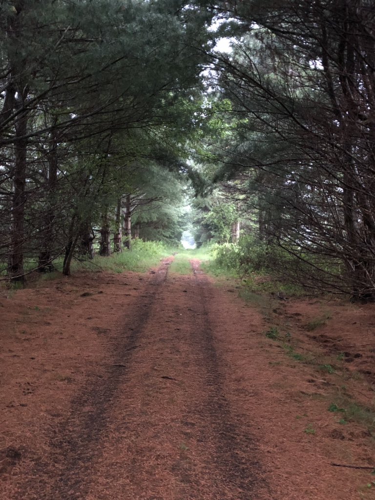 Scenes from Appalachia.