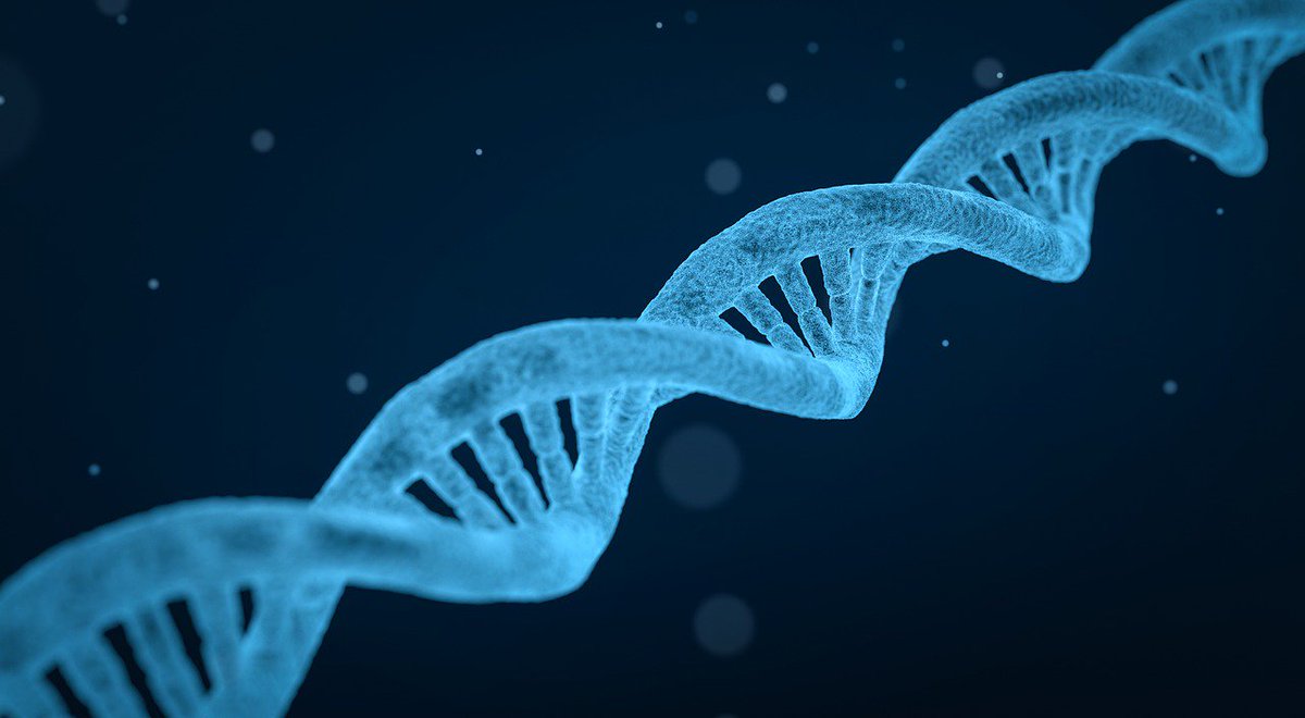 Herbst 2005: Gründung der transQUER: Damals schrieb <a href="/bdwredaktion/">wissenschaft.de</a> über die große Herausforderung #Gene zwischen Organismen zu transferieren. Es träumte noch niemand von der – heute weit verbreiteten – Genschere #CRISPR. #LifeSciences
