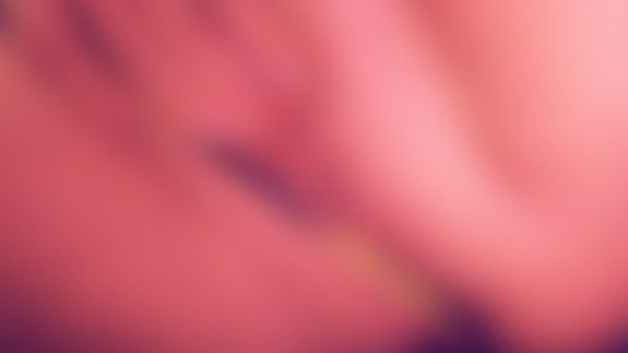 Sign up to my Modelhub Fan Club to see this brand-new exclusive photo: https://t.co/zF4mo1htIA https://t<a href="/tag/dogmom"class="tags"><span>#dogmom</span></a><a href="/tag/cruisin"class="tags"><span>#cruisin</span></a><a href="/tag/loki"class="tags"><span>#loki</span></a><a href="/tag/spoiledbaby"class="tags"><span>#spoiledbaby</span></a><a href="/tag/hustlepup"class="tags"><span>#hustlepup</span></a>