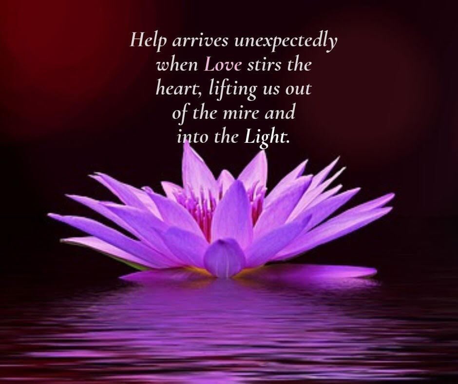 NewWavesofLight's tweet photo. Help arrives unexpectedly when Love stirs the heart, lifting us out of the mire and into the Light.....✨✨✨

#Light #Love #Heart #LiftingUsOutOfTheMire #UnexpectedHelp 
#NewWavesOfLight https://t.co/TMsPYVdtKl