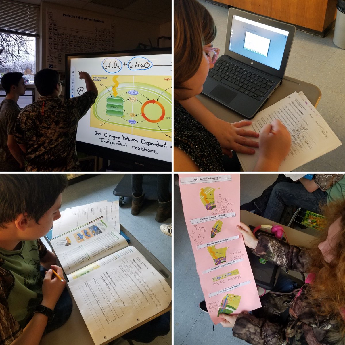 All students learn differently. Students in my class often get to choose from a few options. Here, students reviewed Light Dependent Reactions by choosing from reading the textbook, watching a video, creating a poster, or using the interactive board. <a href="/MV_Knights/">Moshannon Valley SD</a> #MVTakingPride