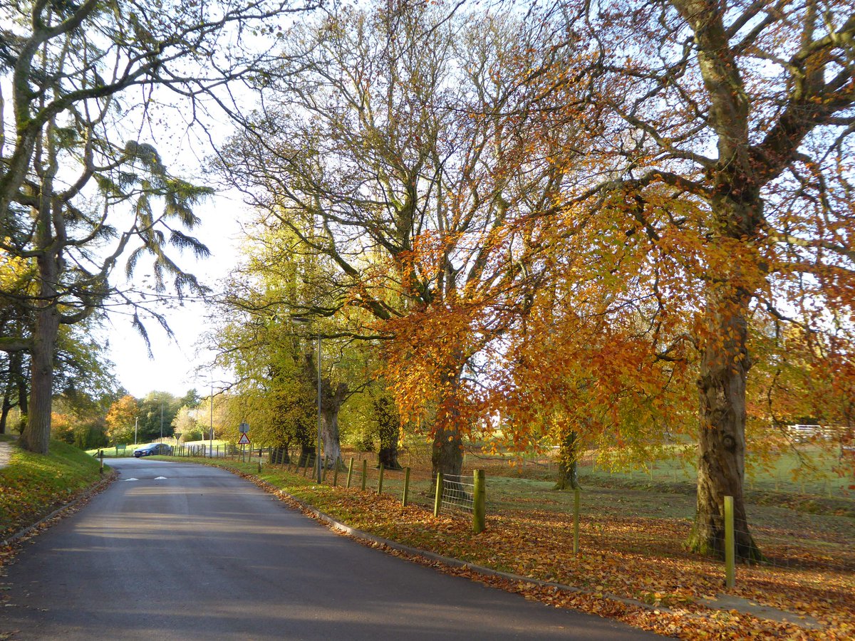 taylor_laura_'s tweet photo. Sometimes a walk at lunchtime is the perfect escape from the office!
#craibstone #aberdeen #scotland #loveukweather #StormHour #ballsphotos #Autumn https://t.co/659kVMFF6S