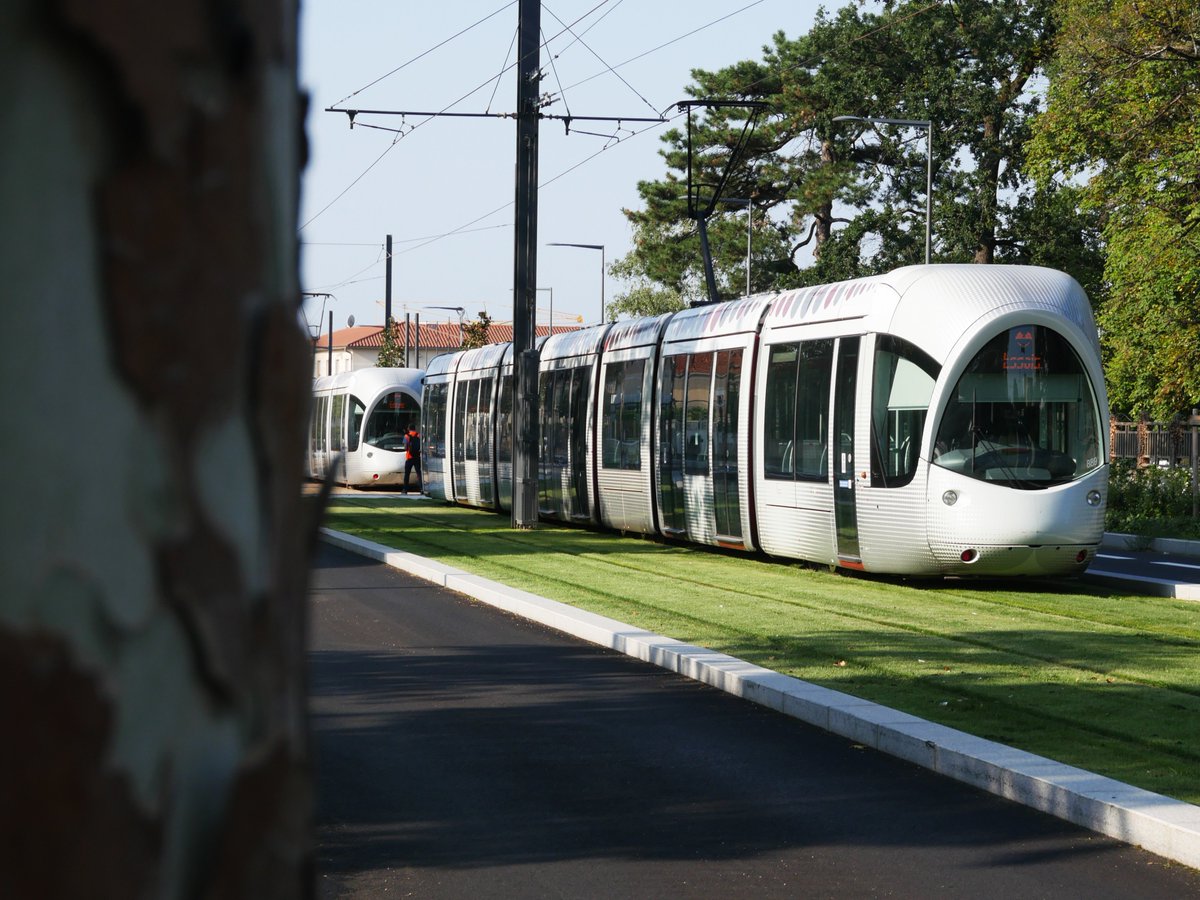 SYTRALmobilites's tweet photo. #LeSaviezVous 🌱
70% du tracé de la future ligne T6 sera engazonné et 650 nouveaux arbres seront plantés.  
Les essais se poursuivent avant la mise en service prévue le 22 novembre pochain 🗓️ ! > https://t.co/SC0qU5pjeQ https://t.co/99ykTUr4QP