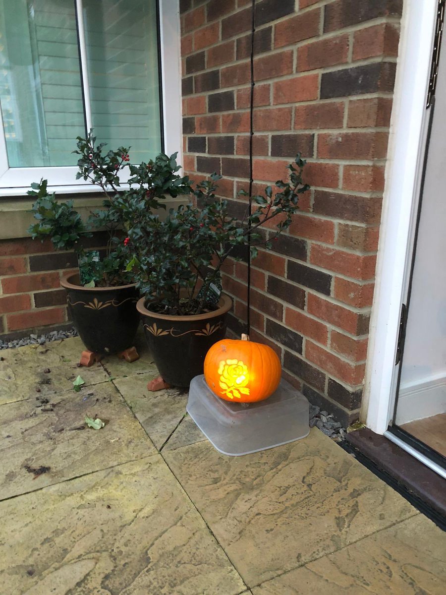 god_of_ears's tweet photo. Halloween is fun but this week is all about @EnglandRugby - so I’ve combined the two! Bring on Saturday @rugbyworldcup ! Come on England!
#halloween #RugbyWorldCup19

@happyeggshaped @RugbyLAD7 @rugbyunited @RugbyEng @andNickMullins @Mercer8Zach @ugomonye @AndyGoode10 https://t.co/WWZhL74w0n