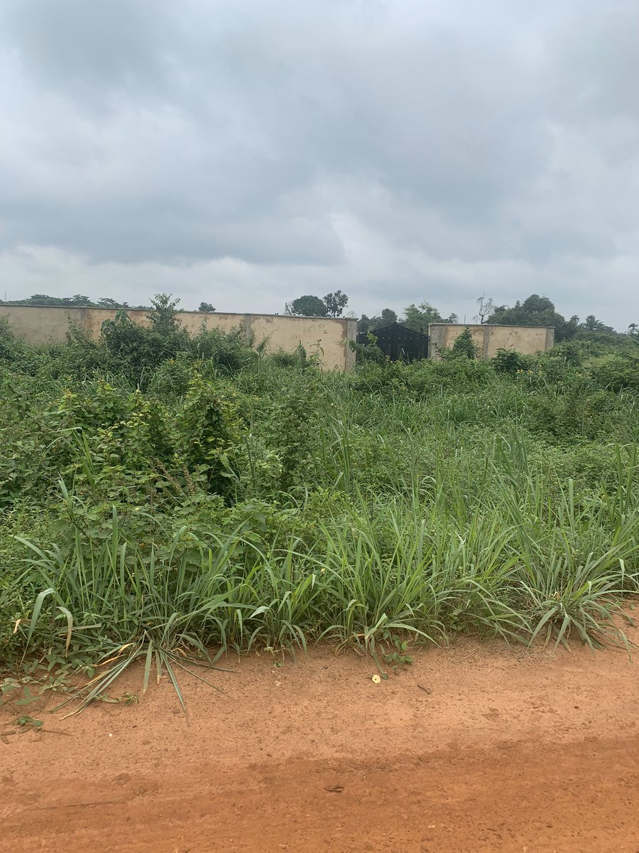 dove_management's tweet photo. Acres of Land For Sale along Lagos Ibadan Expressway

3 Hectares of Land at Sagamu Interchange along Lagos/Ibadan Expressway

Price: 30,000 per square metre https://t.co/J4v55Q8jSw