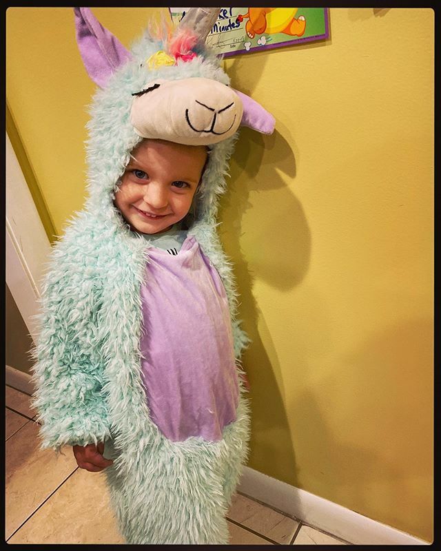 Pants15's tweet photo. Llamacorn alert! 🦙 🦄 
#halloweenparty #llamacorn #PennyRey #halloweencostume https://t.co/7zQGdO82S5 https://t.co/zN5eGwRKr0