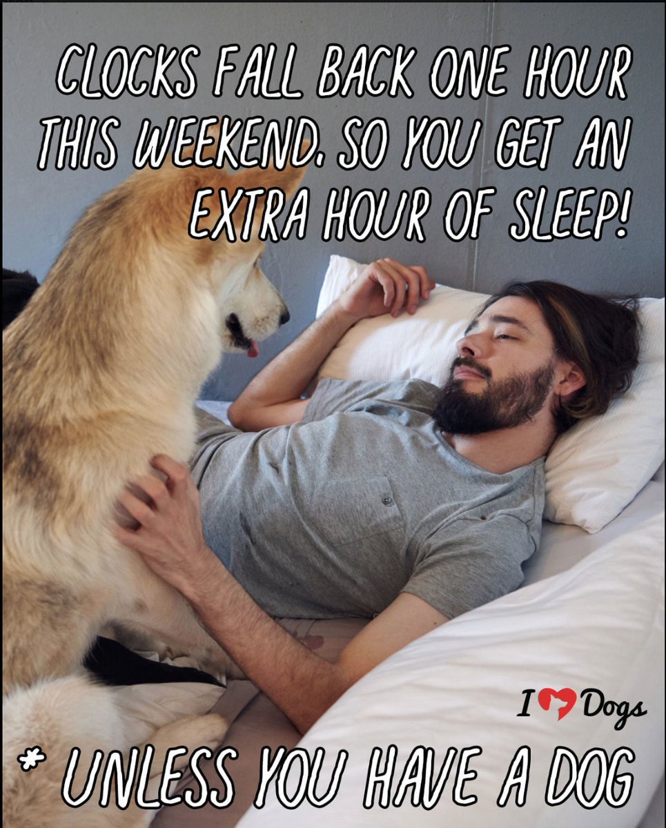 thefourmonkeys's tweet photo. Don't forget to fall back this weekend. Can't wait to get rid of DST, woohoooooo!!!!!
#PSA #FallBack #GoodbyeDST #TurnBackTime https://t.co/g0AhExpC7h