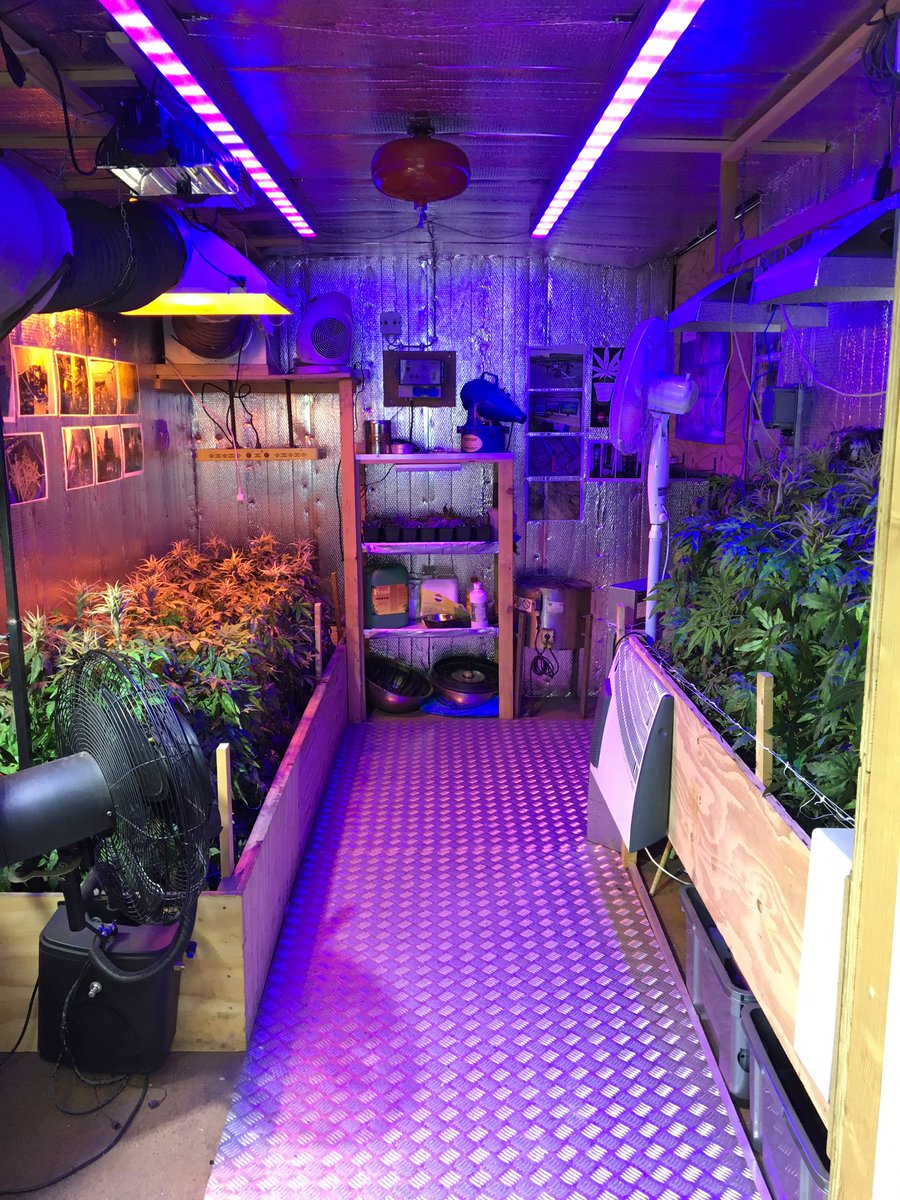 Angelique Vaars tweet media