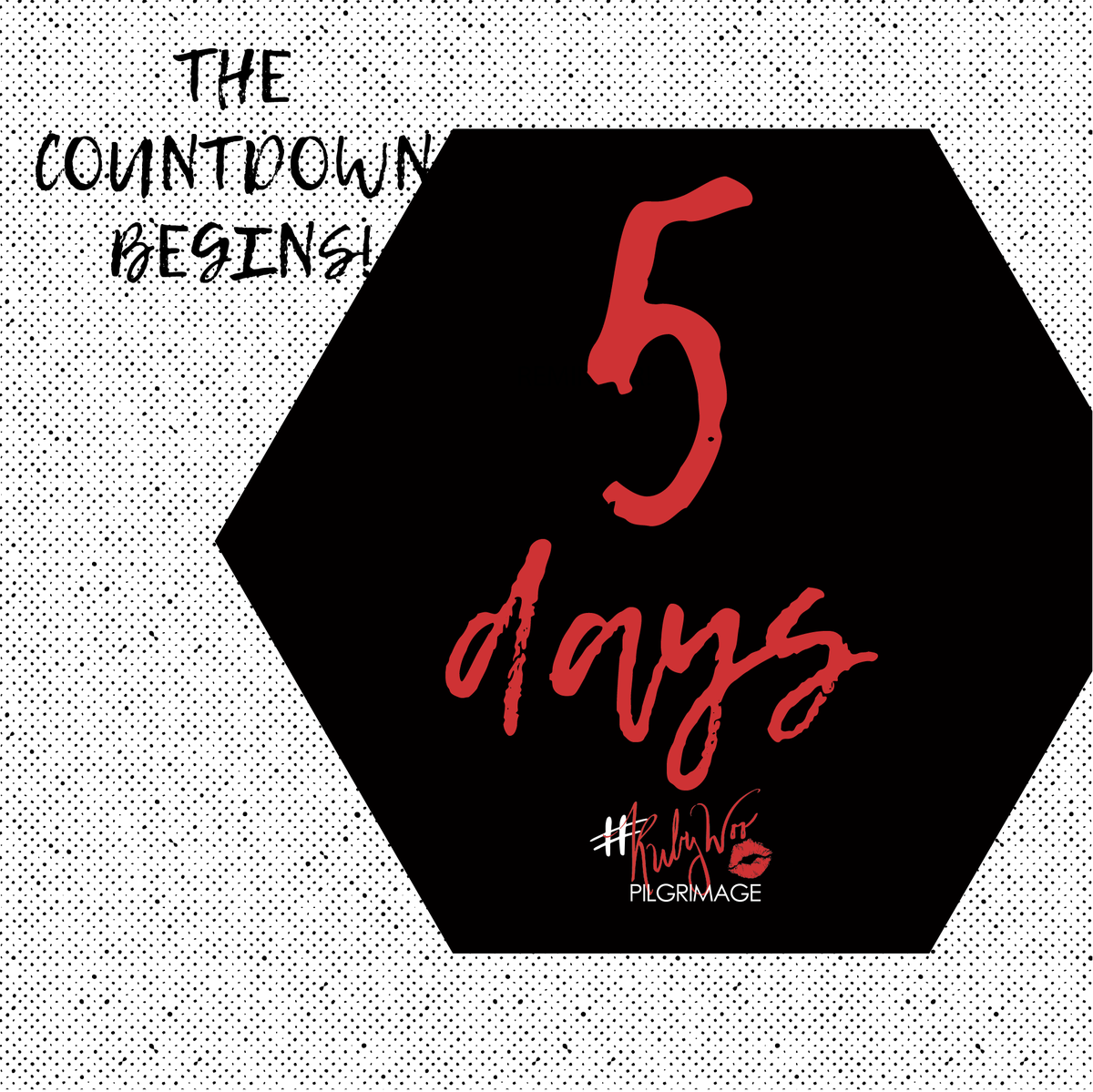 RubyWooPilgrim's tweet photo. ARE YOU READY?! 5 more days until #RubyWooPilgrimage2019 #electoraljustice https://t.co/SsgAHmGpBO