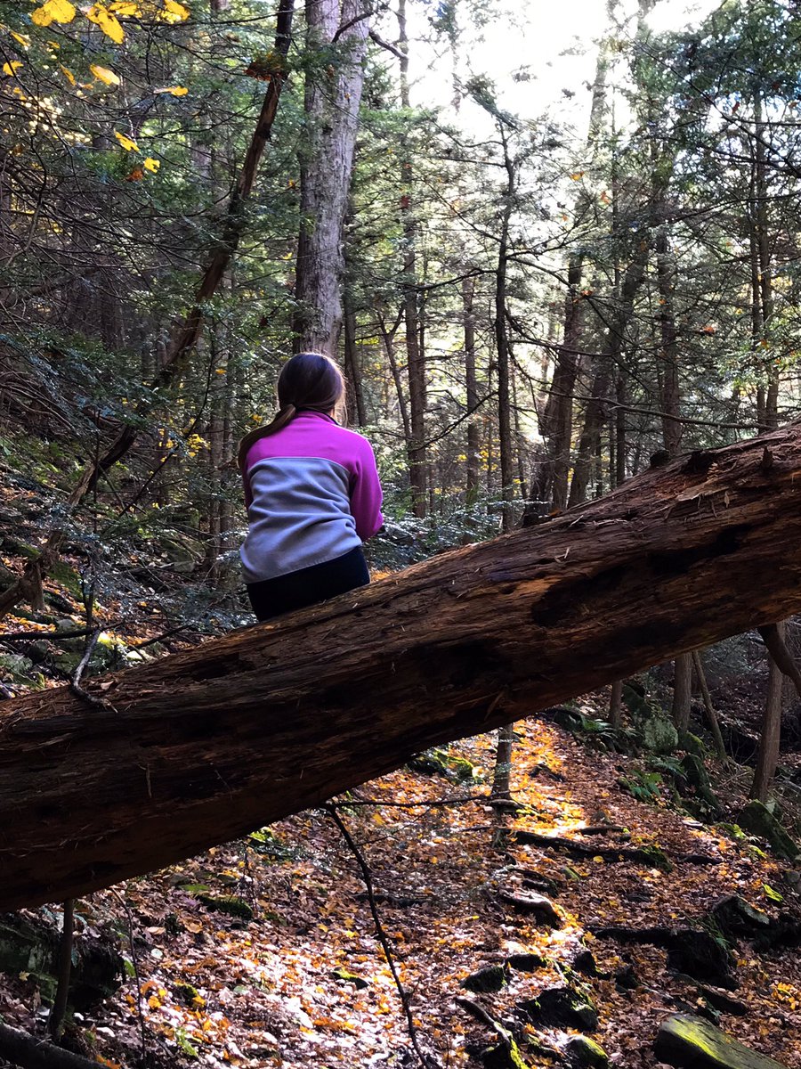 katieclarkspace's tweet photo. Some photos I took yesterday at a state park 🍁 https://t.co/KDz9XkEjzq