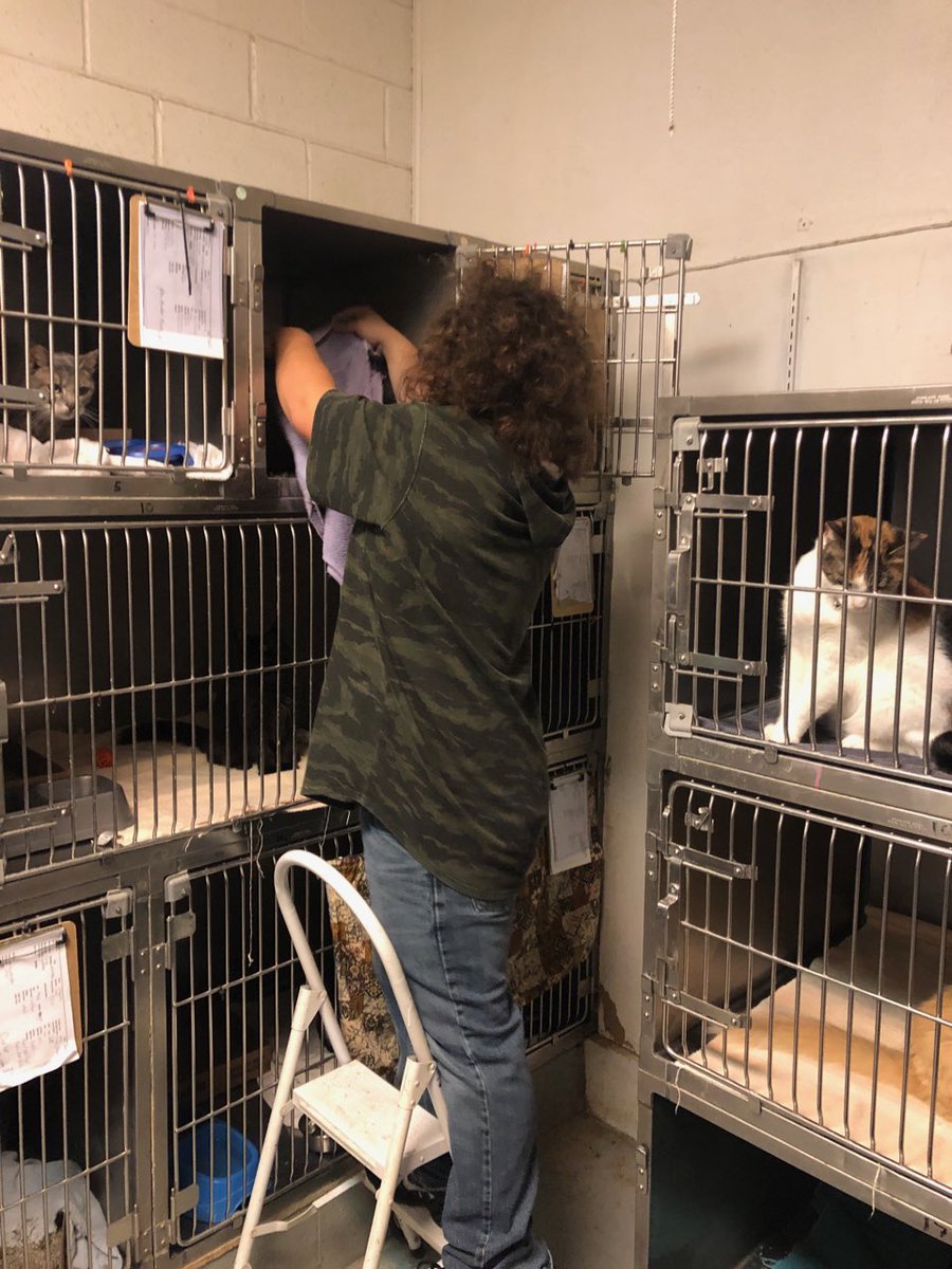 Seniors serving the community! #HNVikingPride