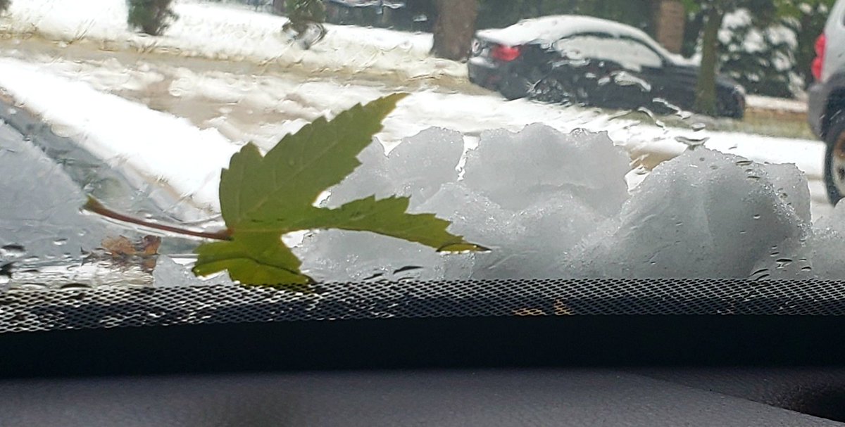 DotNoFeatherLiz's tweet image. Juxtaposition of the seasons on my windshield. #octoberinchicago #fallandwinter #finter #snow #snowinoctober #Chicago