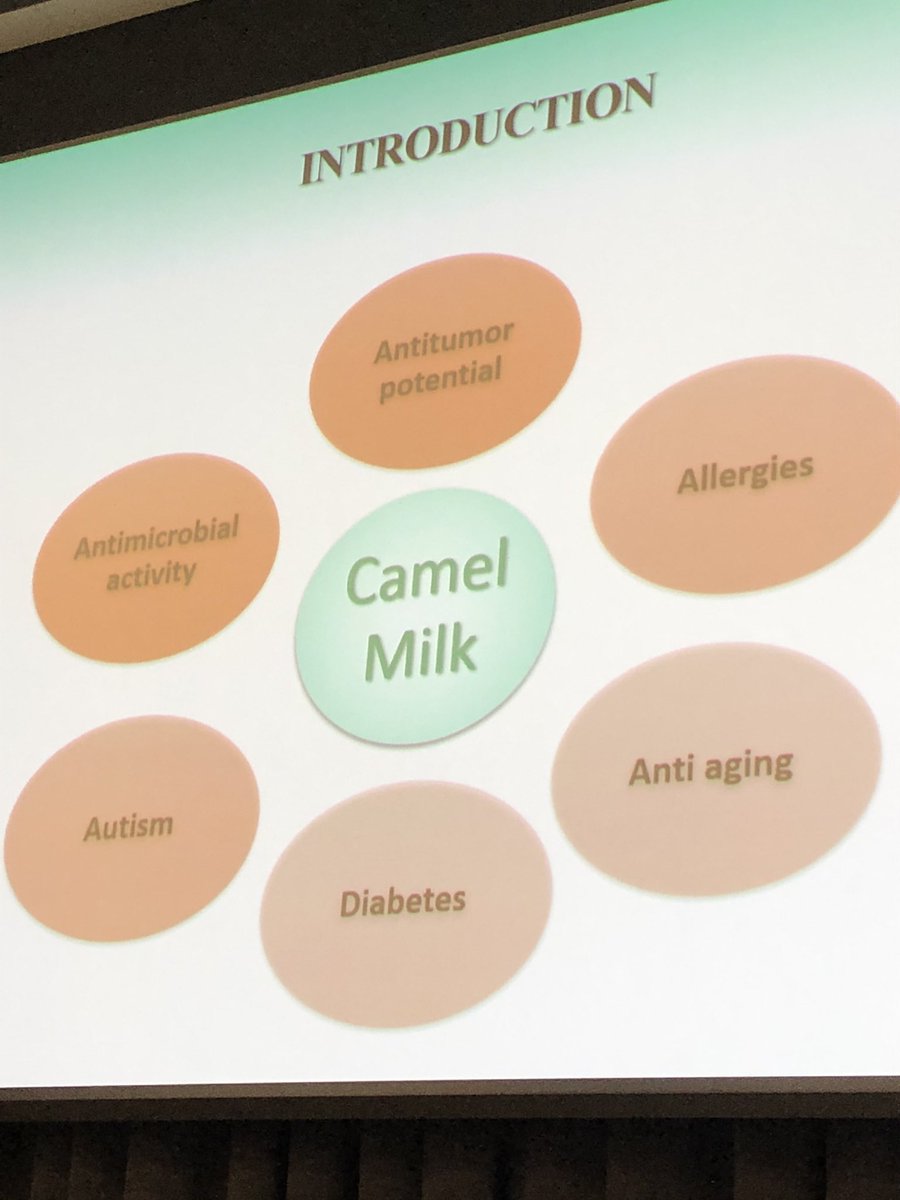 timspector's tweet photo. Can camel 🐪 milk fed with #arganoil from Morocco be the next gut health trend? Ikram Mercha from Rabat is finding out https://t.co/xbukMaOWGH