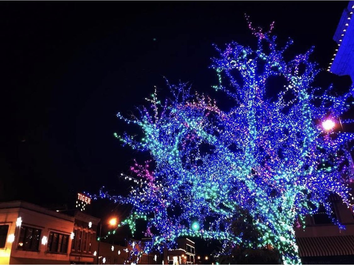 the_district's tweet photo. Itโs Holiday Shop Hop, the Magic Tree lighting, and our first ever Caffeine Crawl, all this Saturday! Shop our local businesses for new holiday arrivals and deals, then and at 7pm join us the corner of 9th and Broadway for the lighting of the Magic Tree! #shoplocalcomo https://t.co/t4VWxmCvT3