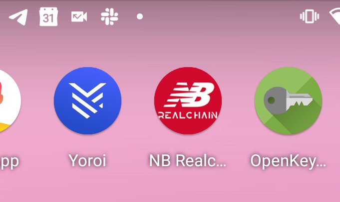mingovanburne's tweet photo. @YoroiWallet Count me in! Amazing app! https://t.co/xoe9pT2qum