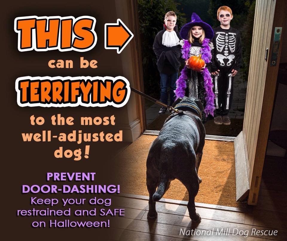 Park Issa Vets (@parkissavets) on Twitter photo 