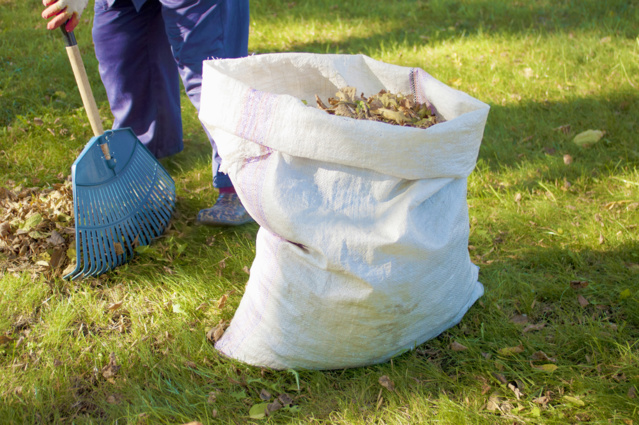 ExpUrbaines's tweet photo. Chauffer son #logement grâce aux feuilles mortes ? 🍂 C'est le défi auquel répond @AmiensMetropole depuis 2014, en valorisant les feuilles des 50 000 arbres de la #ville, qui alimentent plus de 4 000 foyers en énergie pendant une année entière 💡 https://t.co/iOMC2xPs4A https://t.co/2VVJhrjvnd