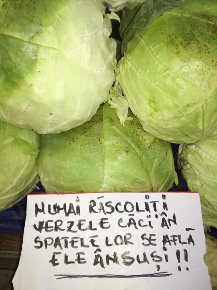 CristiMilla1's tweet photo. #Romania #pitoreasca #desigur #desezon #toamna #varza #avenittoamna #octombrie #noiembrie https://t.co/PPjRsJMJdy