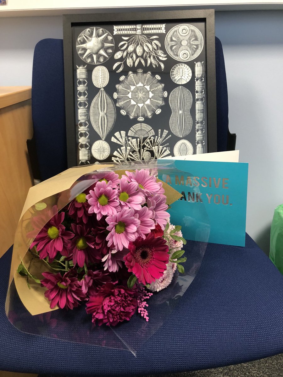 kirstie_diatom's tweet image. Received the most wonderful gift from Miriam, an MSc student who smashed her #forensicresearch project last year! Apparently somewhere in Liverpool sells #diatom posters... this could be dangerous!