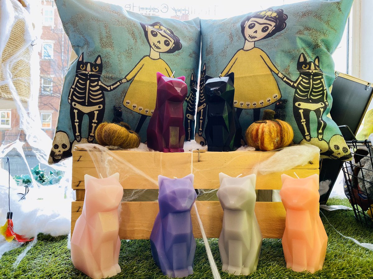 furcatsshop's tweet photo. #Skeleton #CatSkeleton #LightMyFire #CoolCatStuff #CatShop #PyroPetCat #BurnBabyBurn #Crepuscular #Nocturnal #Cat #Cats #FurCats #CatCommunity #SupportLocalBusiness #LocalBusiness #ShopLocal #Chorlton #WestDidsbury #Didsbury https://t.co/67x91bsQKu