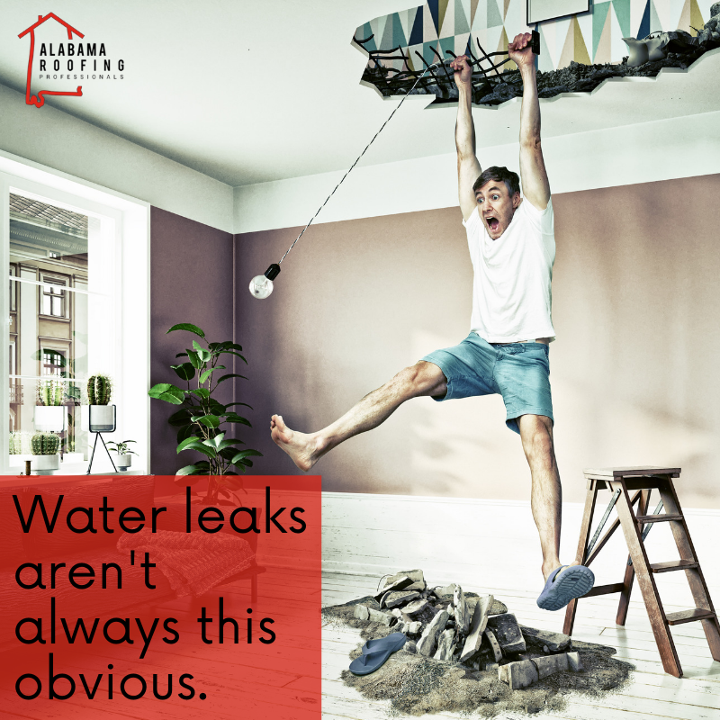 alroofpros's tweet photo. Water that tends to puddle or stand on your roof is a sign of a problem. 💦🏠 Common reasons for this are debris build-up or improper drainage from the gutter system or HVAC units.  👉Regular inspections can help minimize this issue.
#rooftips #roofleaks #waterdamage https://t.co/e24mV7wpxS