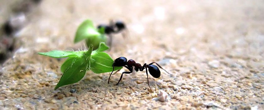 MirjamCSchouten's tweet photo. STOP glyfosaat, teken alstublieft deze petitie. #Bayer Vanavond op tv ZDF 22u45 Bayer met de billen bloot. #Roundup #glyfosaat #Monsanto #bijen
#Dierenactivisten #Boeren #Insecten #Dieren #bij #PartijvoordeDieren #MezenSterfte #Vlaanderen #DDT #STOPbayer #Handhaving #monoculturen https://t.co/QvSJM0ZPxl