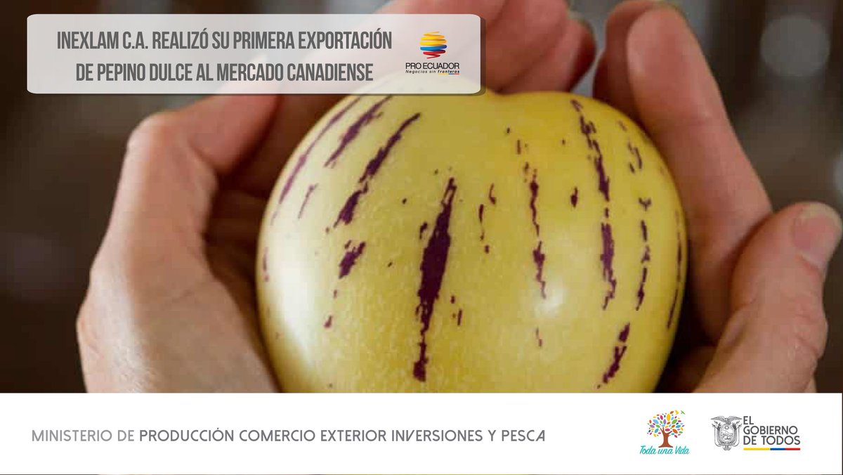 PRO ECUADOR North America (@proecuadornoram) on Twitter photo 🔴#CasoDeÉxito2019| La empresa Inexlam C.A. concretó su primera exportación de pepino dulce a Canadá🇨🇦, resultado de su participación en la #MacrorruedaEcuador 2019, gracias al apoyo de la Especialista de Frutas No Tradicionales de <a href="/Produccion_Ecu/">Ministerio de Producción</a> y #OCE <a href="/proecuadornoram/">PRO ECUADOR North America</a> Toronto. 🔴#CasoDeÉxito2019| La empresa Inexlam C.A. concretó su primera exportación de pepino dulce a Canadá🇨🇦, resultado de su participación en la #MacrorruedaEcuador 2019, gracias al apoyo de la Especialista de Frutas No Tradicionales de <a href="/Produccion_Ecu/">Ministerio de Producción</a> y #OCE <a href="/proecuadornoram/">PRO ECUADOR North America</a> Toronto.