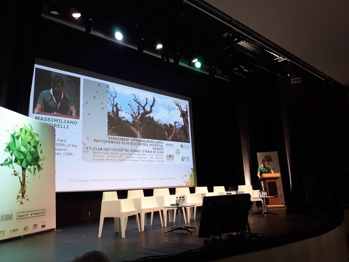 Plants_EFSA's tweet photo. Massimiliano Morelli #CNR #IPSP shares the preliminary result of trials testing the potential efficacy of #Paraburkholderia #phytorfirmans as biocontrol of #Xylella #pauca ST53
🎥Follow #Xylella19 live from Ajaccio, Corsica, at https://t.co/ymD3NsLZof https://t.co/3ssI9fUcYi