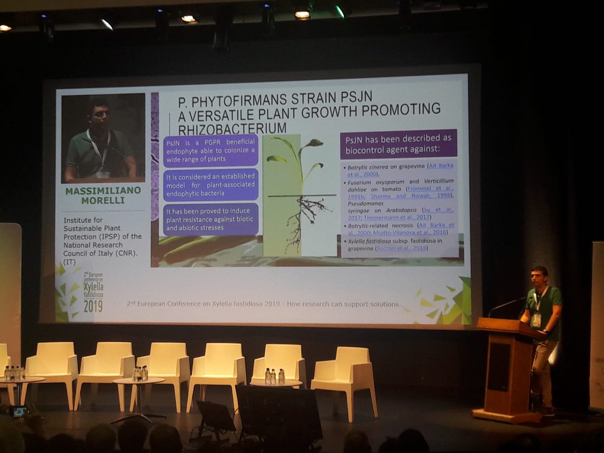 Plants_EFSA's tweet photo. Massimiliano Morelli #CNR #IPSP shares the preliminary result of trials testing the potential efficacy of #Paraburkholderia #phytorfirmans as biocontrol of #Xylella #pauca ST53
🎥Follow #Xylella19 live from Ajaccio, Corsica, at https://t.co/ymD3NsLZof https://t.co/3ssI9fUcYi