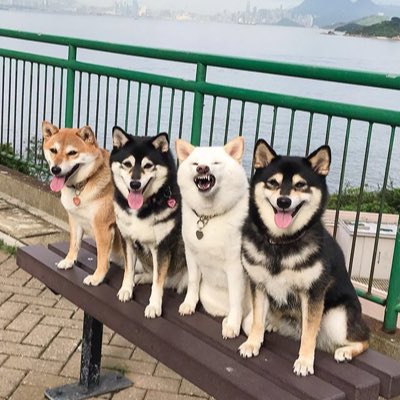 ShallowdreamF's tweet photo. #新头像 https://t.co/7Yi8dplqnP