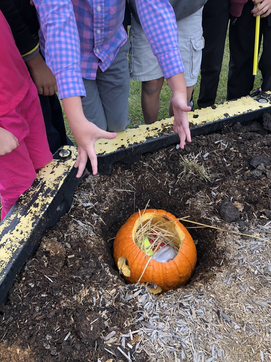 teach_Rader's tweet photo. Pumpkin compost: today we filled a pumpkin with trash and buried it! We will dig it up in April and see what we find.  Will the pumpkin and trash decompose?  These scientists had some great predictions! https://t.co/NEHKpWiaGM