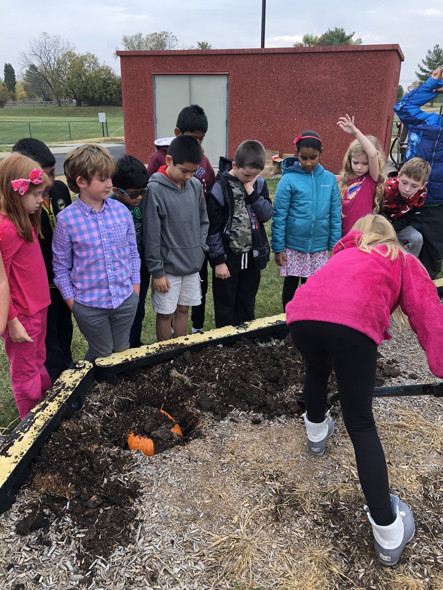 teach_Rader's tweet photo. Pumpkin compost: today we filled a pumpkin with trash and buried it! We will dig it up in April and see what we find.  Will the pumpkin and trash decompose?  These scientists had some great predictions! https://t.co/NEHKpWiaGM