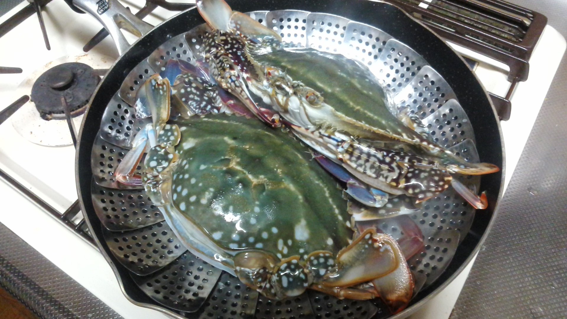 ダイコン爺さん 公式 箱根強羅観光親善大使 料亭に卸さず我が家に届いた渡り蟹を蒸し上げ冷凍保存じゃ 蟹 かに カニ 渡蟹 ワタリガニ 漁 漁師 岡山 笠岡市 北木島 子持ち 絶品 贈り物 茹でる 蒸す 焼く 蟹味噌 味噌汁 パスタ 肴