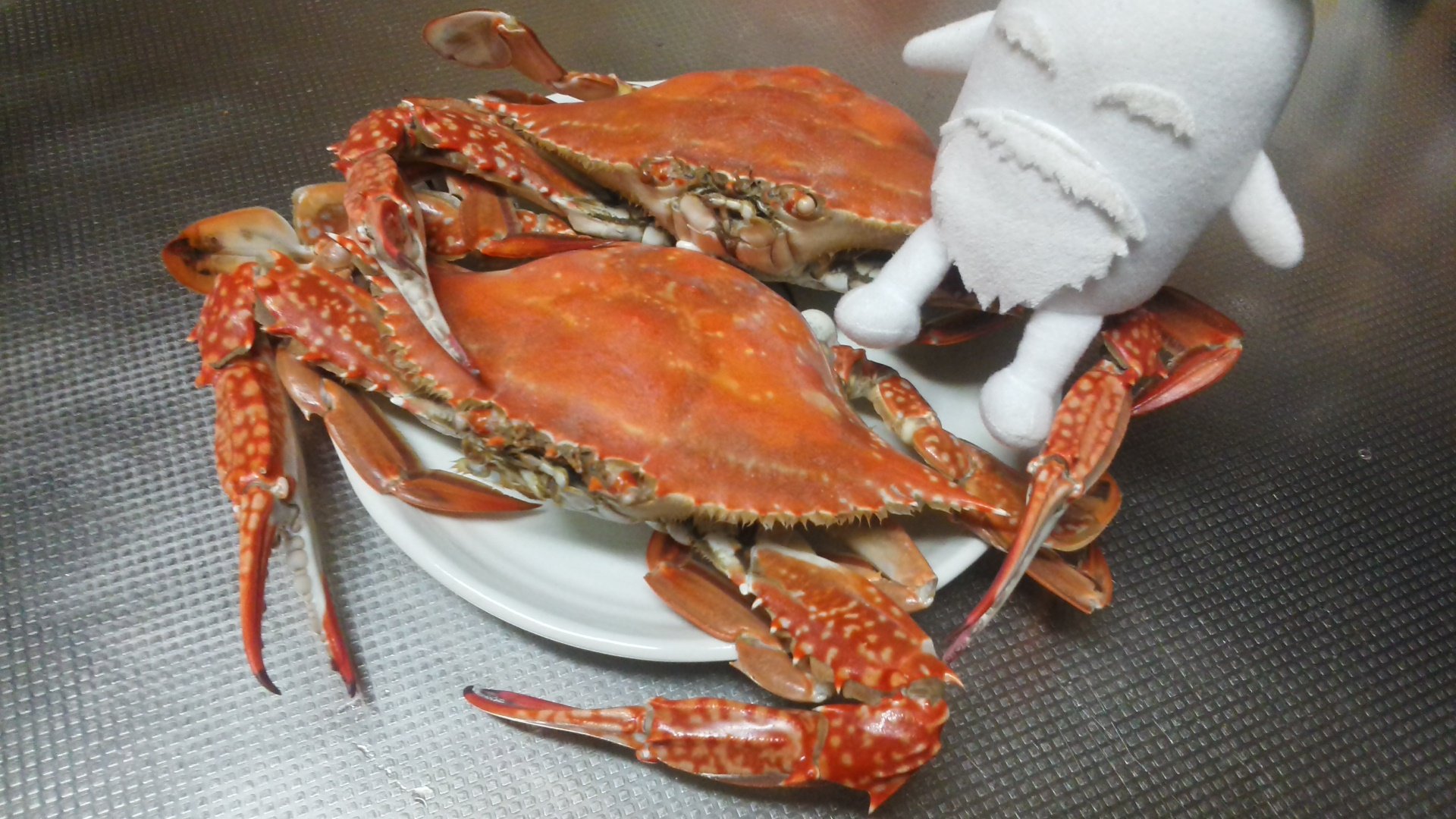 ダイコン爺さん 公式 箱根強羅観光親善大使 料亭に卸さず我が家に届いた渡り蟹を蒸し上げ冷凍保存じゃ 蟹 かに カニ 渡蟹 ワタリガニ 漁 漁師 岡山 笠岡市 北木島 子持ち 絶品 贈り物 茹でる 蒸す 焼く 蟹味噌 味噌汁 パスタ 肴