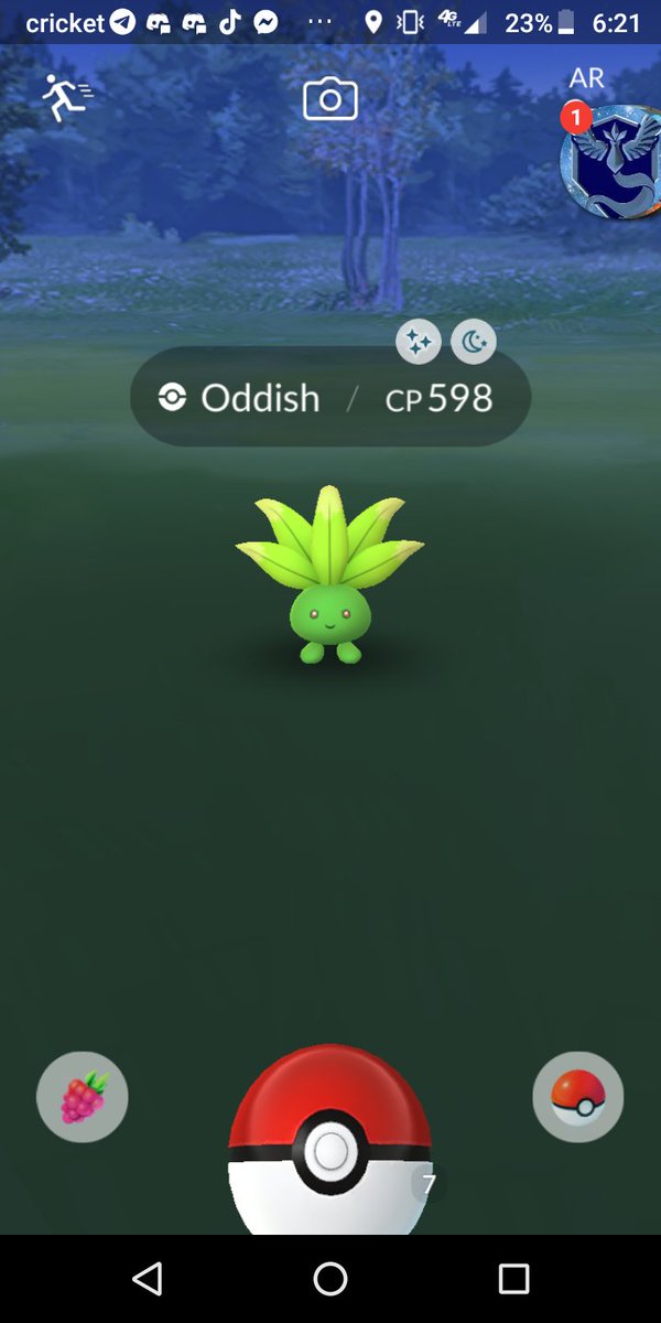 Finalerror555's tweet image. Shiny hunting been on my side this month. #PokemonGO #pokemom #shiny #ShinyPokemon